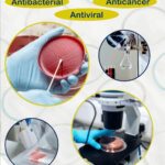 Phi Center for Nanoscience Launches Advanced Services for Evaluating the Biological Applications of Nanoparticles