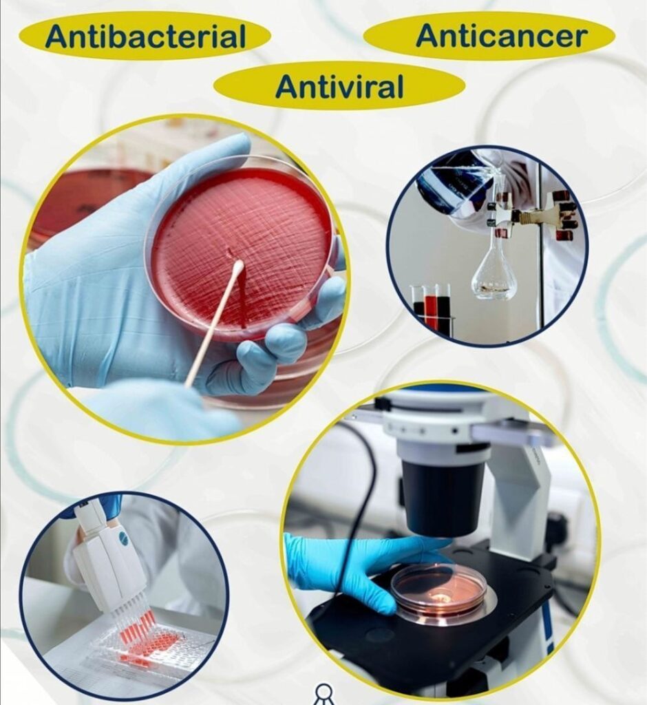 Phi Center for Nanoscience Launches Advanced Services for Evaluating the Biological Applications of Nanoparticles